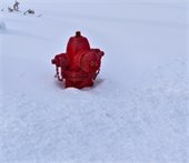 Fire hydrant in snow