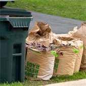 Yard Waste out for collection