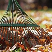 Rake
