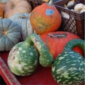 Farmers Market