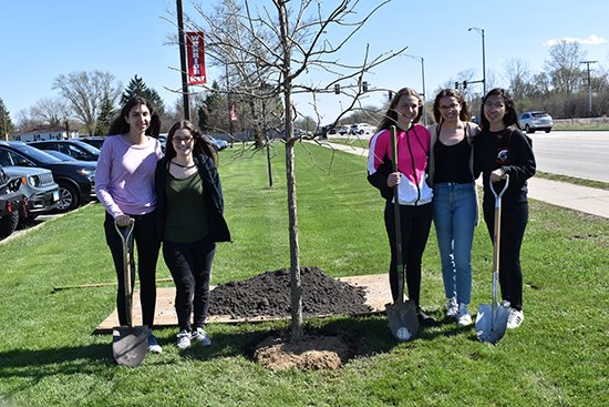 Arbor Day