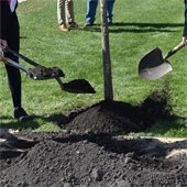 Arbor Day