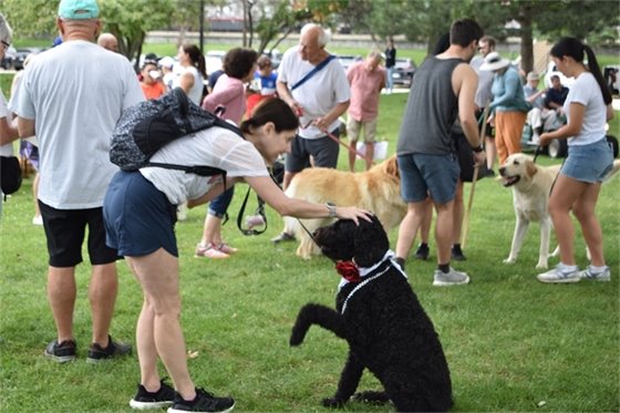 A photo from the Family Days Dog Show with a black poodle in the center putting out a paw to shake with its owner