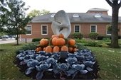 Pumpkins at Village Hall
