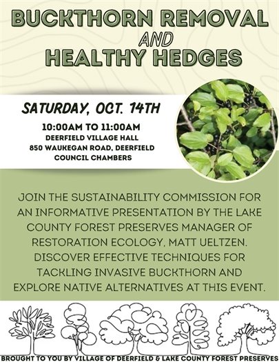 Buckthorn Removal and Healthy Hedges program