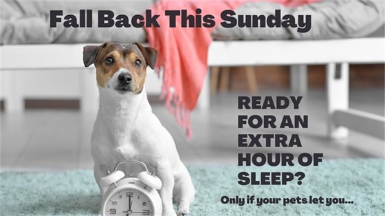 Fall Back One Hour