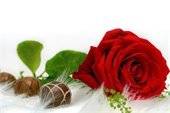 A photo of chocolates next to a red rose.