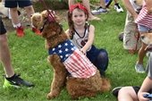 Dog show