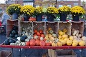 Pumpkins