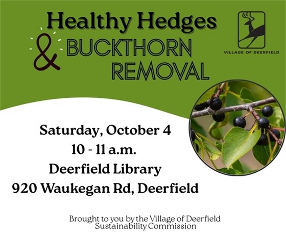 Healthy Hedges and Buckthorn Removal Presentation October 4 from 10-11 a.m. at the Deerfield Public Library